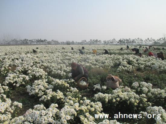 界首最新新聞，學習變革的力量，自信與成就感的融合之路