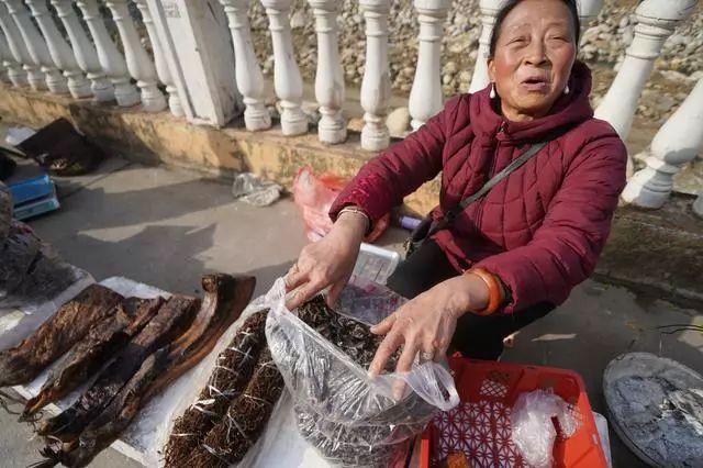 小蔥價(jià)格最新行情及分析報(bào)告