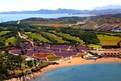 心悅海島探險攻略，最新任務(wù)指南與探險體驗