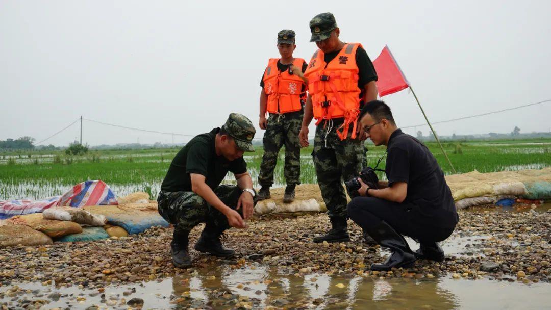 永修最新聞，背景探尋與時代地位的重要事件回顧