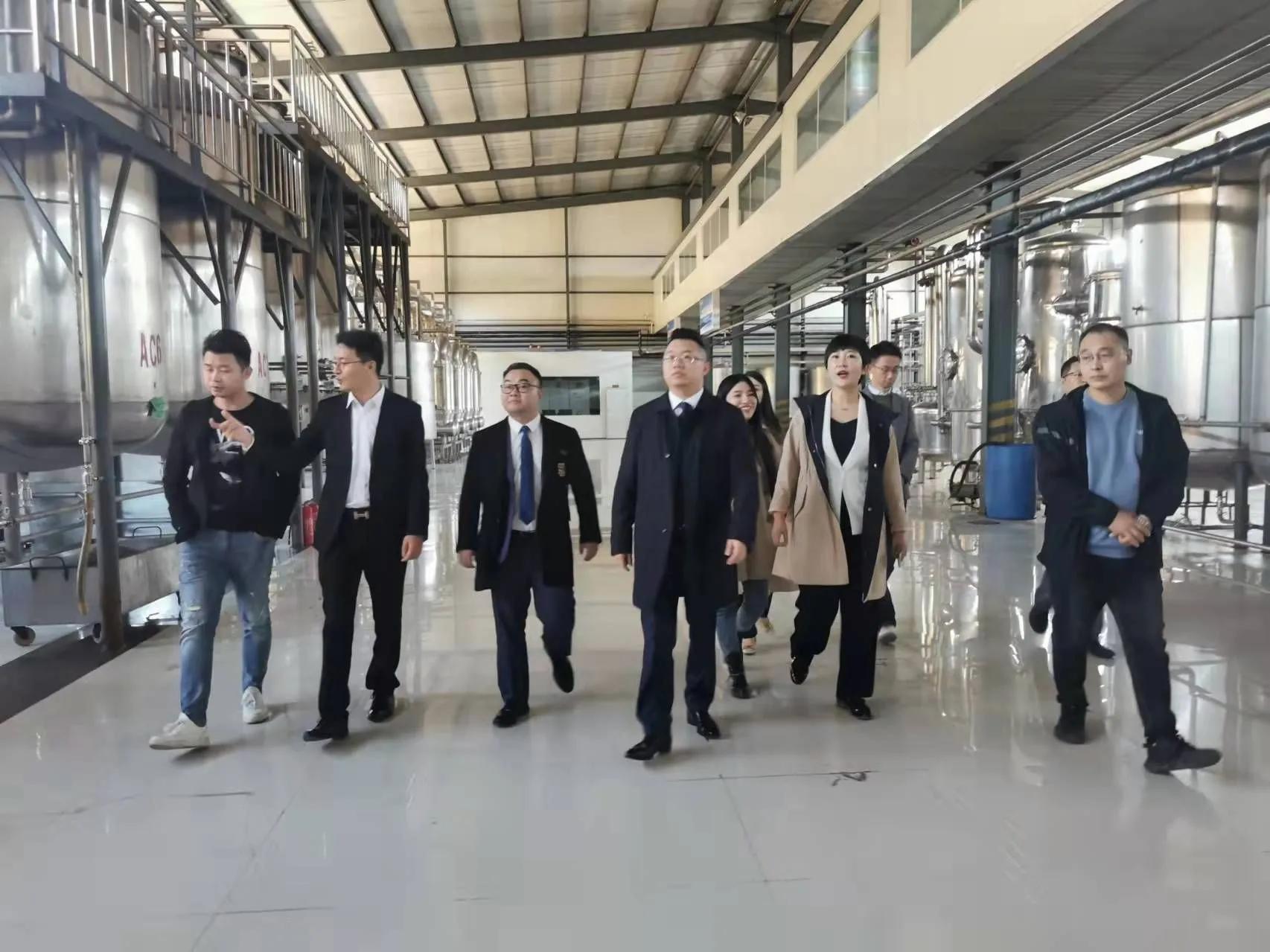 鼎恒升最新動態(tài)，追溯特定領(lǐng)域的發(fā)展歷程與重要地位