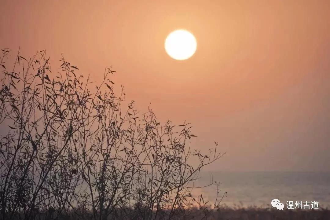 最新瘟疫詩詞，時代之聲與人文關(guān)懷的交融展現(xiàn)