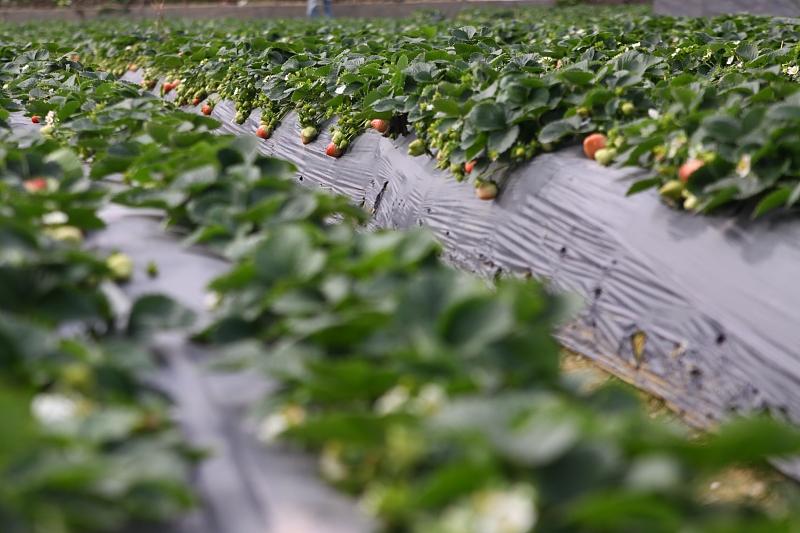 湖北最新封鎖，科技智能重塑防線，守護(hù)生活安全