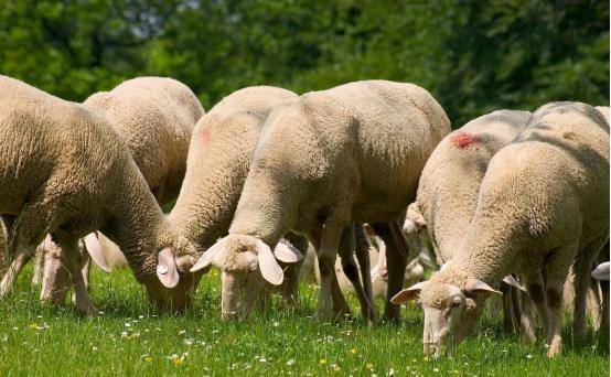 工程廠房燈具 第76頁(yè)