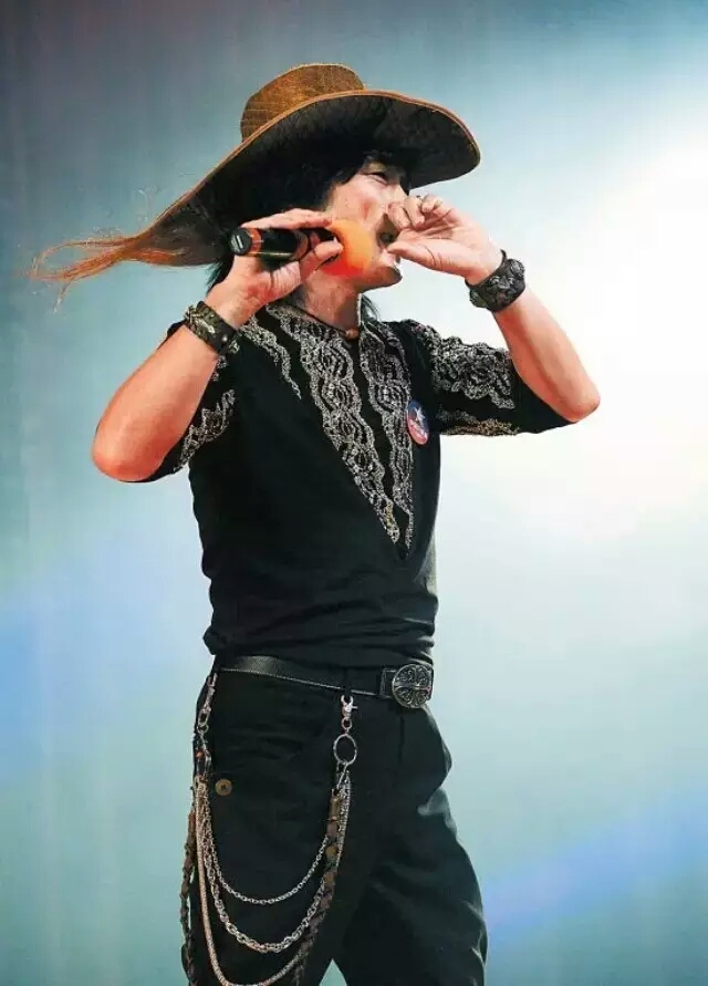 指哨最新，自然美景之旅，探尋內(nèi)心平靜與喜悅的旅程