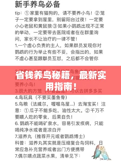 最新養(yǎng)鳥法規(guī)解析，觀點(diǎn)闡述與深度探討