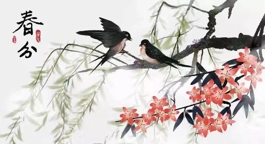 春分最新圖片，展現(xiàn)自然之美的瞬間