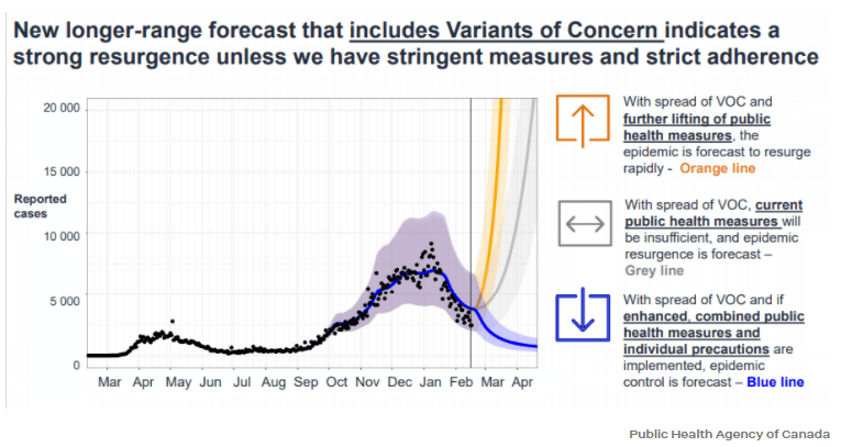 約克最新疫情動態(tài)，學習變化中的自信與成就力量