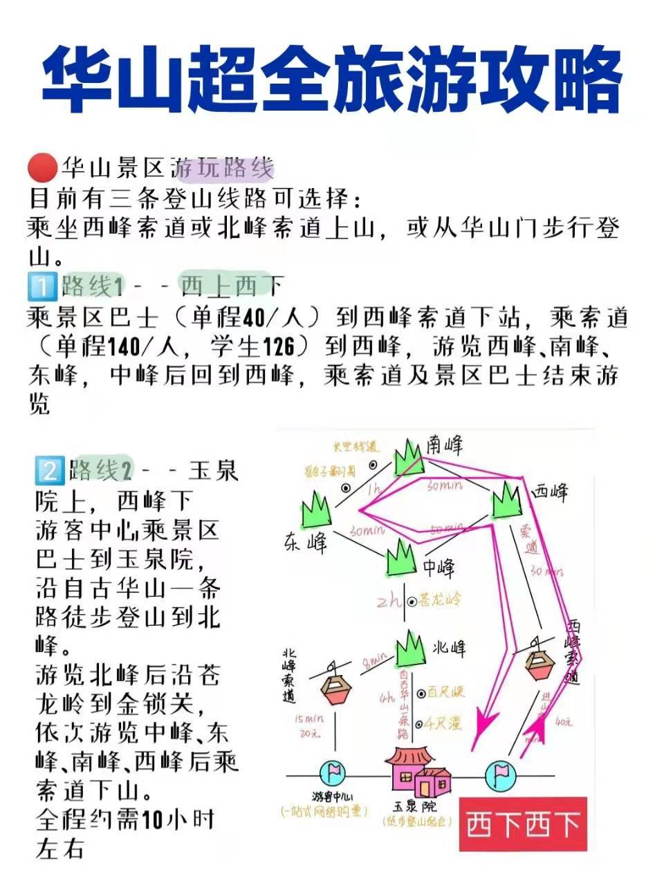 華山旅游最新探秘，小巷中的獨特風味之旅