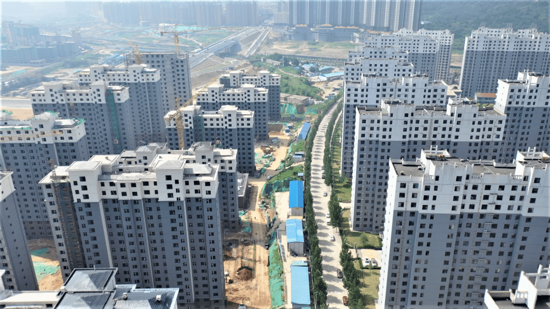 陽泉疫情最新動態(tài)及應對指南，初學者與進階用戶必備知識