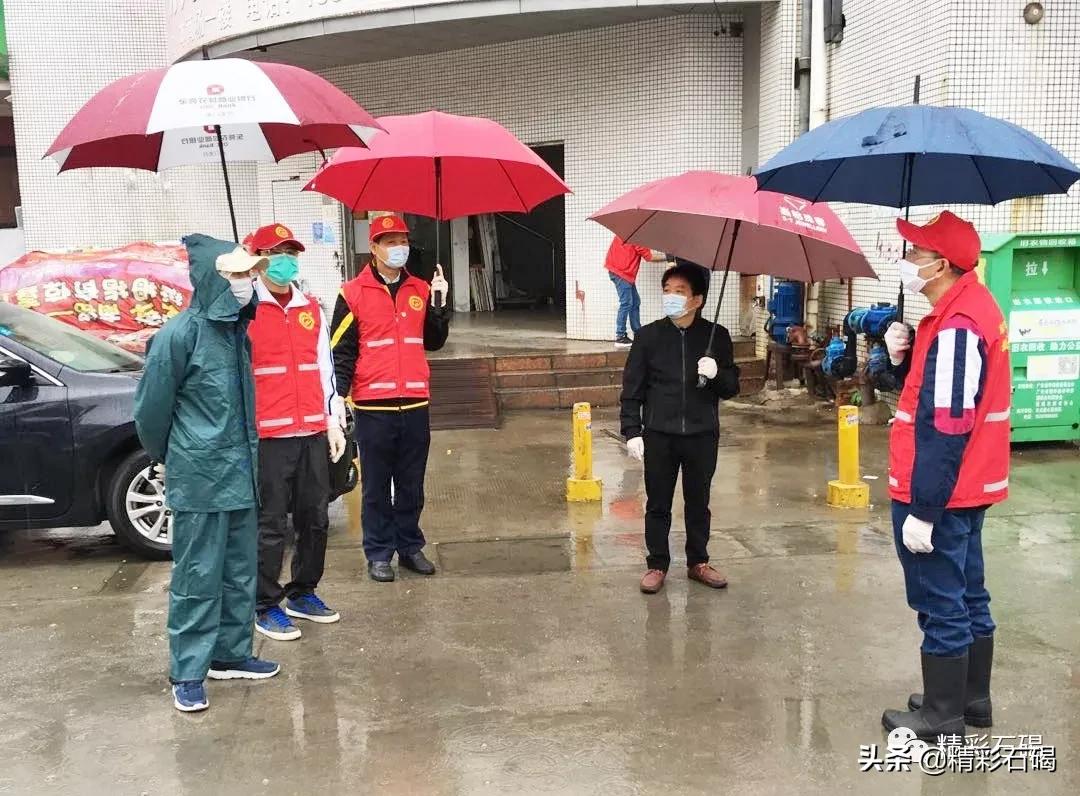 石碣最新疫情動(dòng)態(tài)，變化中的學(xué)習(xí)，鑄就未來力量