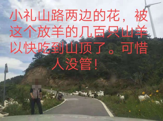 大悟最新路，探索未知，自信成就夢想之旅的啟程