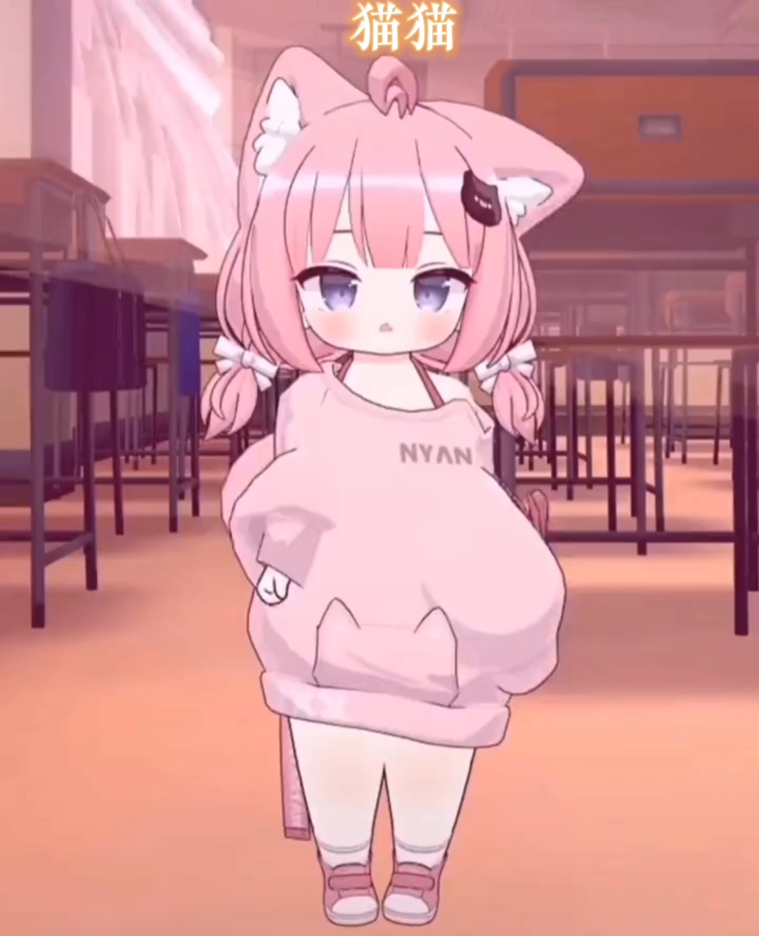 貓妹妹最新動(dòng)態(tài)，萌態(tài)盡顯，溫暖你的心??