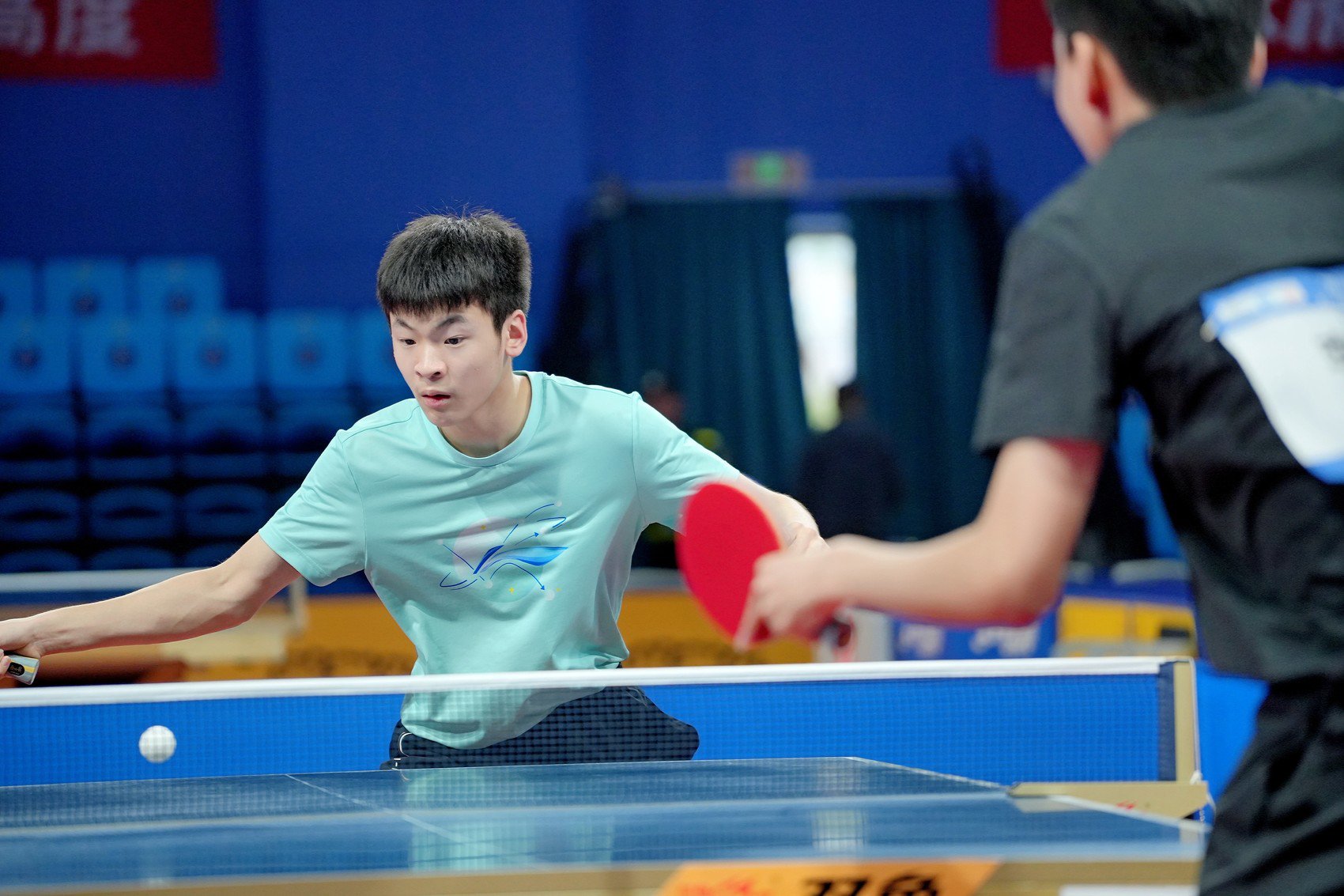 乒乓比賽最新動(dòng)態(tài)與成長(zhǎng)指南，一步步成為乒乓高手之路