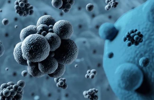 病毒擴(kuò)散最新情況，自然探險之旅尋求內(nèi)心平和之地