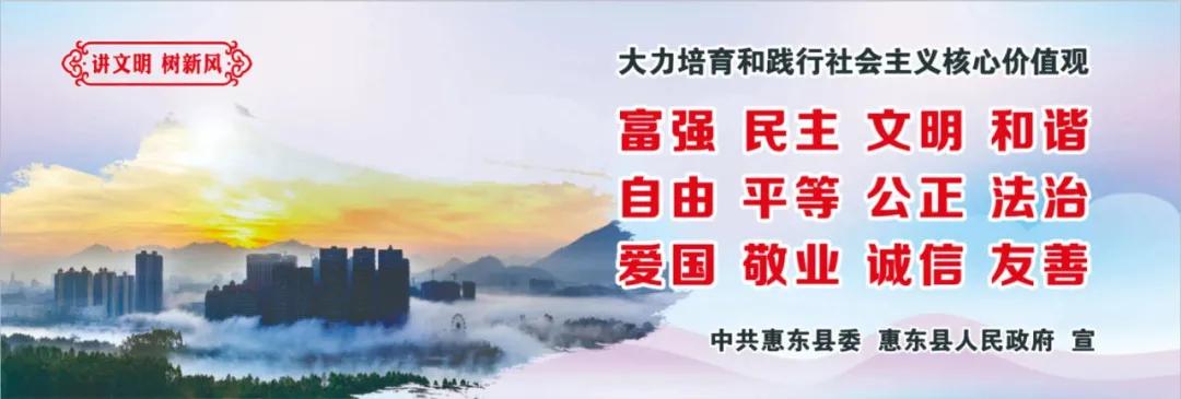 惠州肺炎最新動態(tài)，小巷深處的獨特小店背后的故事