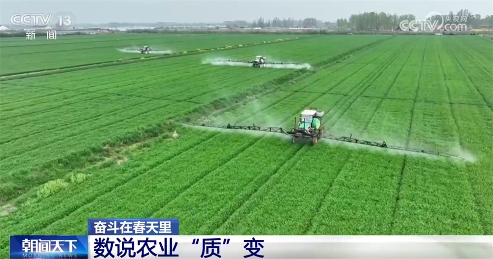 最新農(nóng)業(yè)農(nóng)村發(fā)展，播種希望，收獲自信與成就感