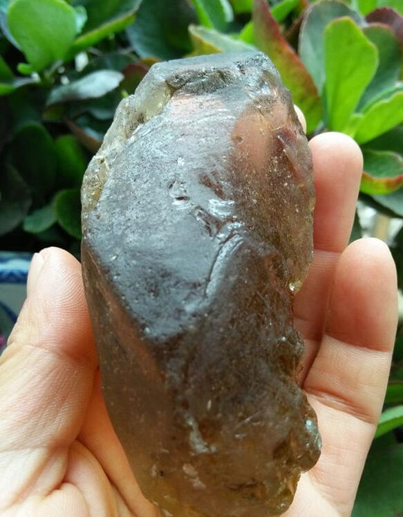 最新鑒定法，揭示友情的印記與家的溫馨