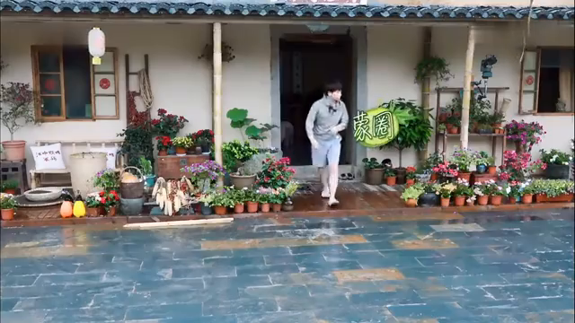 最新蘑菇屋，自然與生活完美融合的夢幻之地