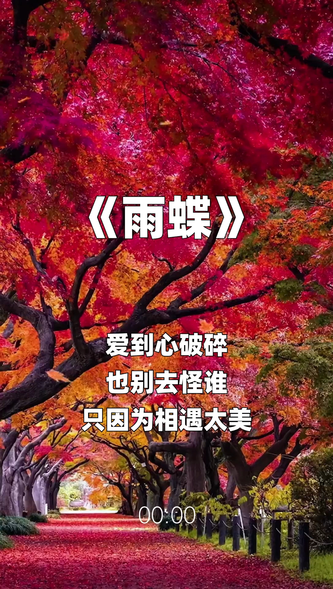 雨蝶最新步驟指南，如何完成任務(wù)或?qū)W習(xí)技能？