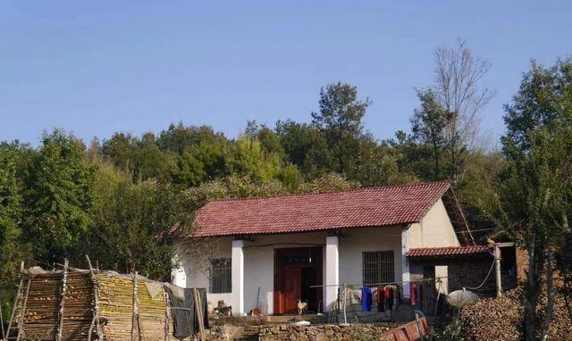 新時(shí)代田園生活揭秘，鄉(xiāng)村農(nóng)村的最新風(fēng)貌與體驗(yàn)