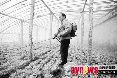 最新農(nóng)藥抽檢結(jié)果出爐，守護(hù)農(nóng)田安全，你我他的共同責(zé)任