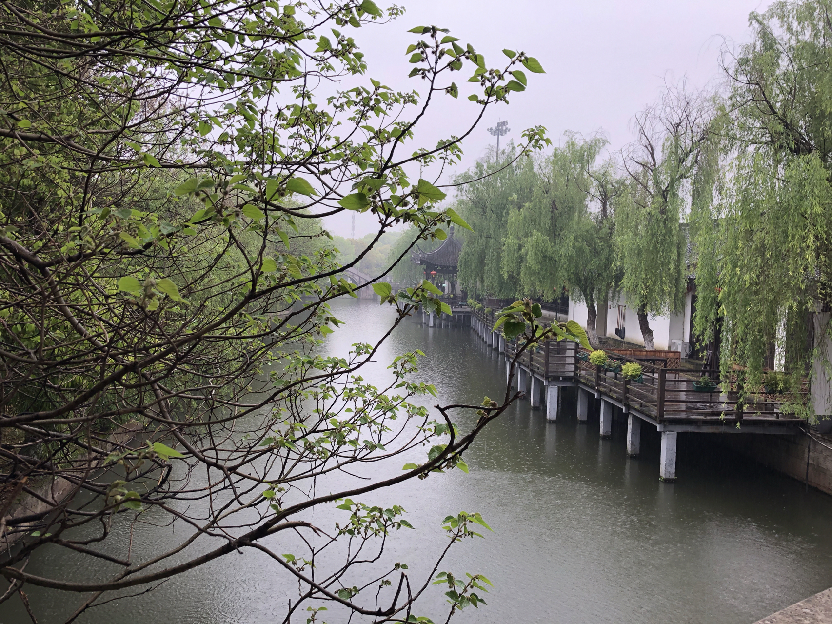 江南煙雨最新，自信與成就感的成長之旅