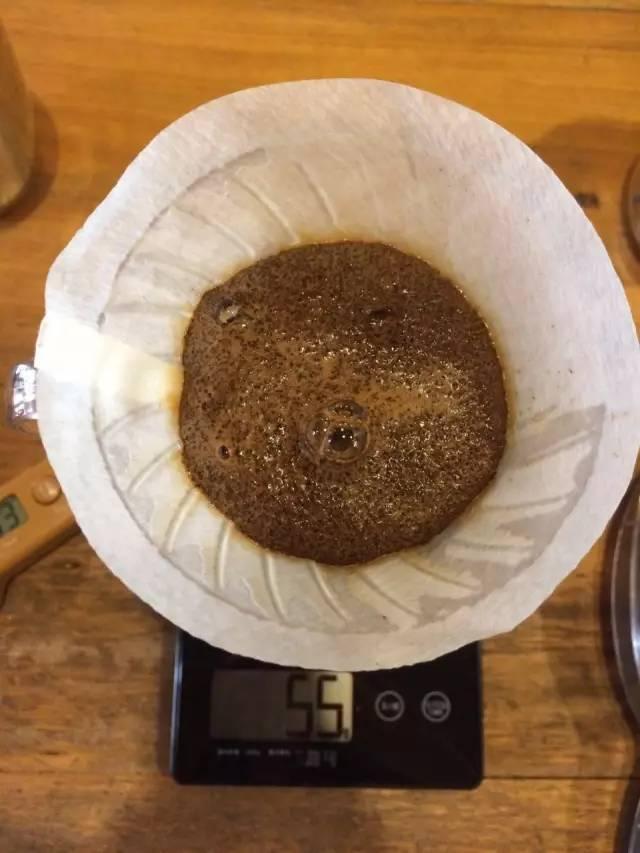 最新萃取法詳解，步驟指南與操作技巧