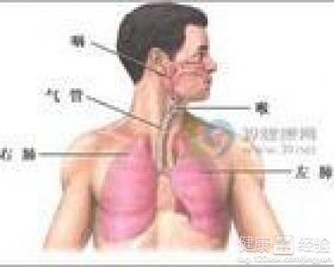 咸豐肺炎最新全面指南與詳解，癥狀、治療、步驟解析