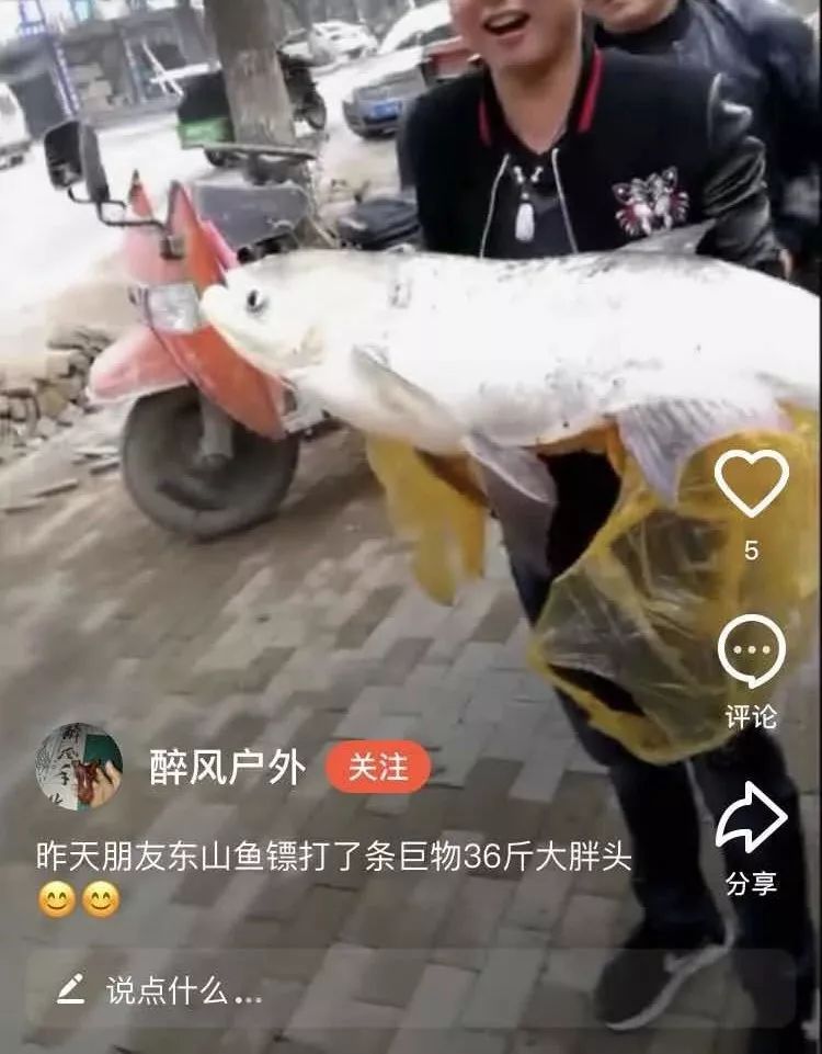 射魚神器進化升級，學習變革與自信成就之源