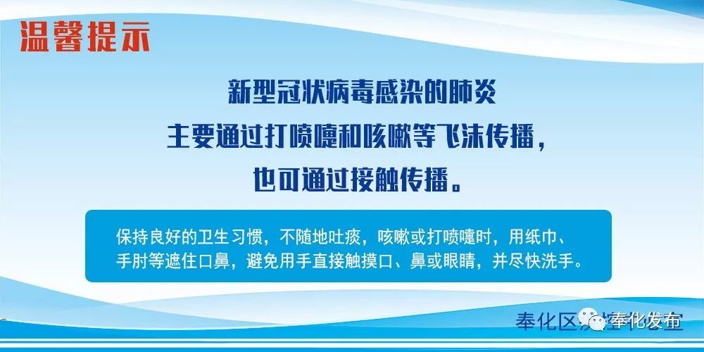 余姚最新確診背后的自然探索之旅，重拾心靈寧靜與平和