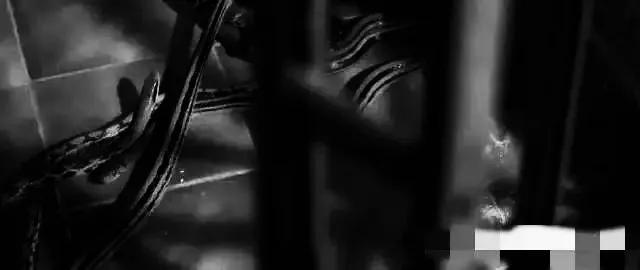 香港最新房價趨勢展望，2025年分析與展望