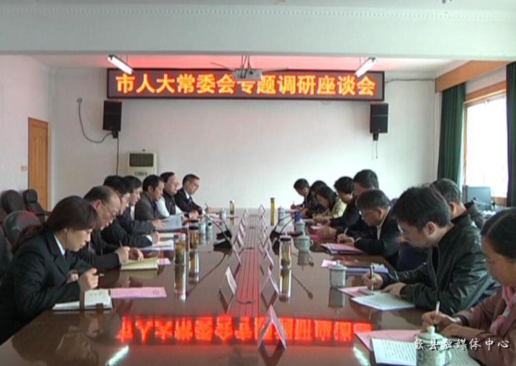 安徽歙縣最新動(dòng)態(tài)，小巷深處的驚喜