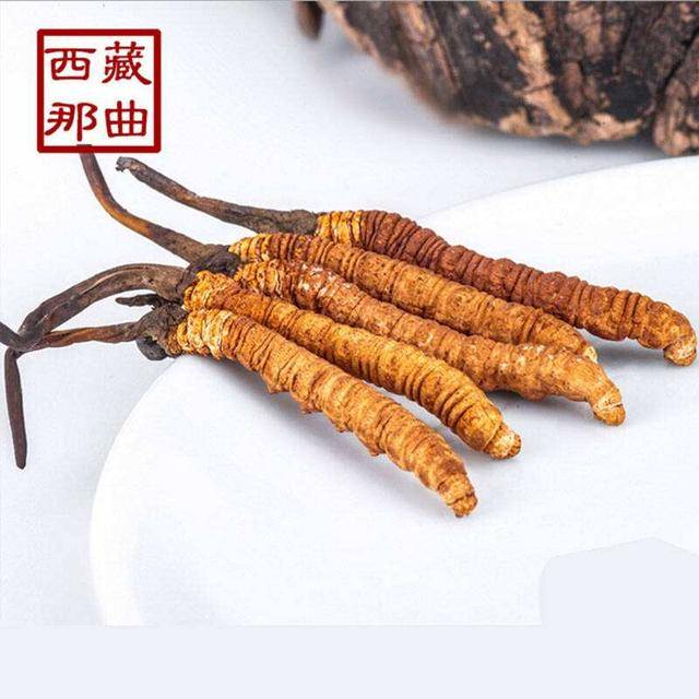 揭秘2025年蟲草最新價格，探尋小巷中的秘密行情！