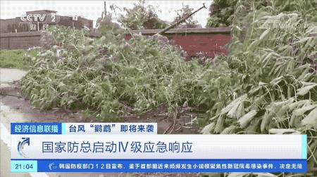 超強臺風鸚鵡來襲，最新路徑動態(tài)全解析???