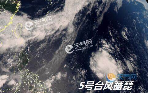 最新實(shí)時(shí)臺風(fēng)風(fēng)力查詢指南，風(fēng)力信息及查詢步驟全解析