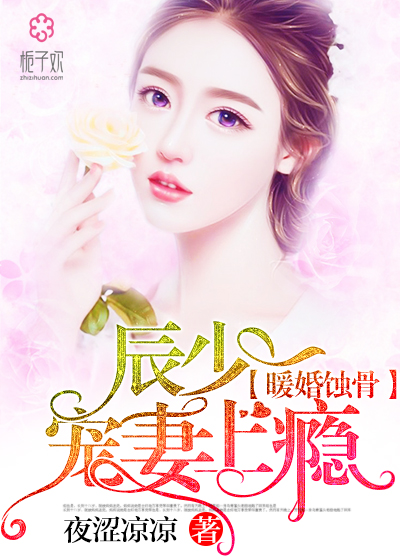 陸少寵上癮最新動態(tài)，日常趣事與真摯友情的獨特魅力