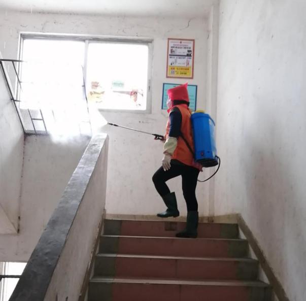 蓬江區(qū)最新高科技住宅，重塑未來(lái)生活體驗(yàn)的首選之地