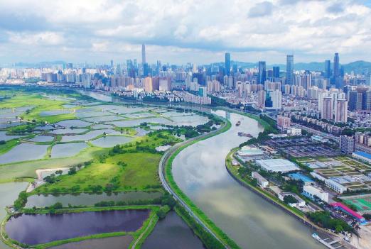 當(dāng)下流行語探尋之旅，與大自然共舞，尋找內(nèi)心平靜之旅